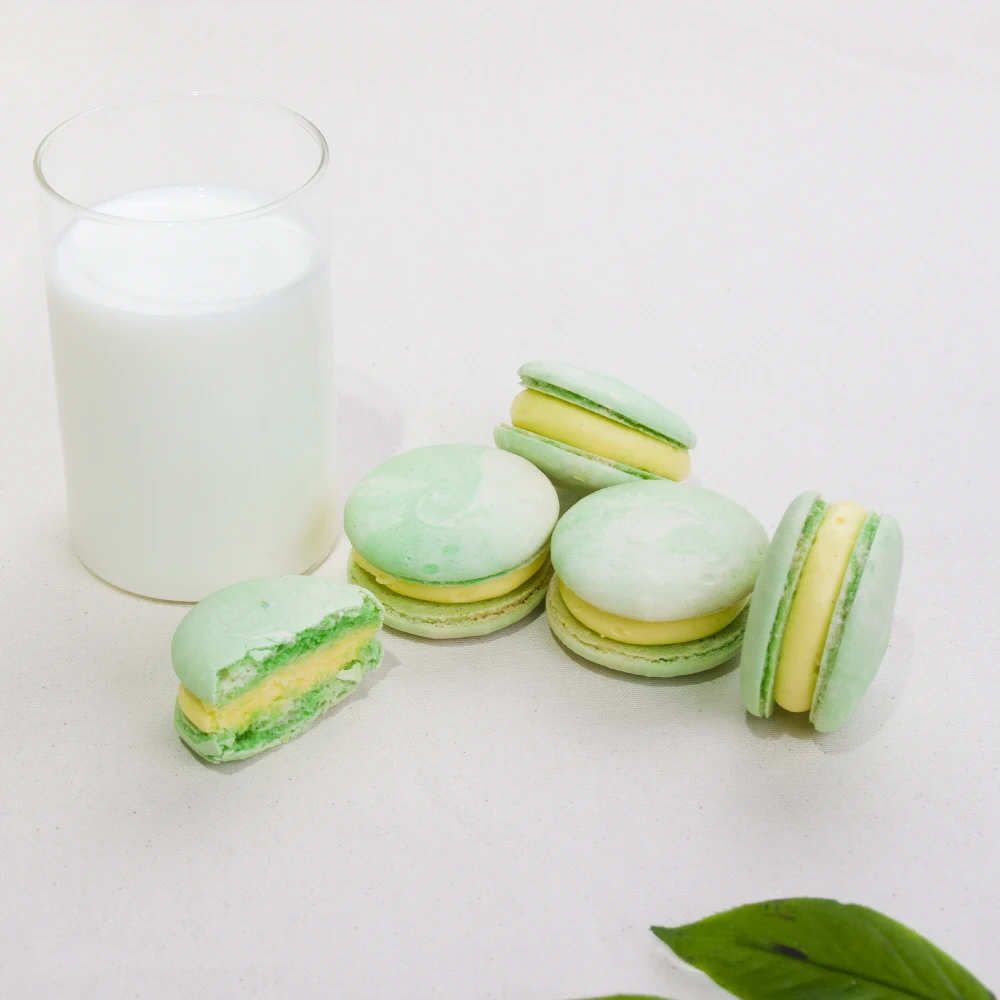 Stocking discounts/Moon Forest Classic Macaroons 8 rounds, 16 houses 1 sweet and original macaroons