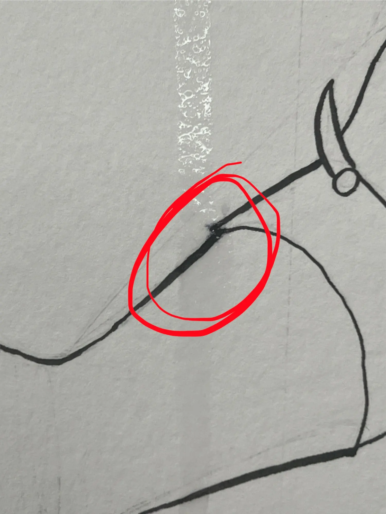 Customer review photo