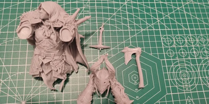 Buyer photo of this resin kit