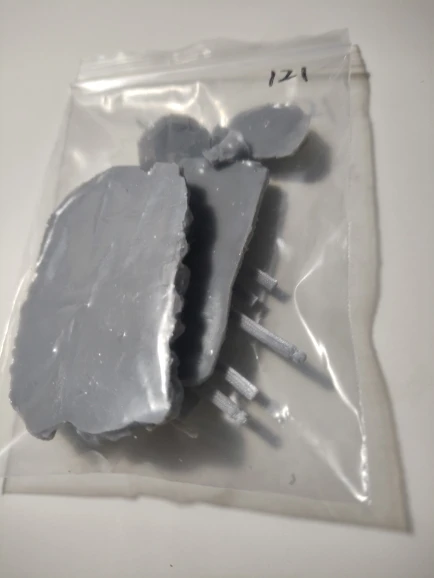 Buyer photo of this resin kit