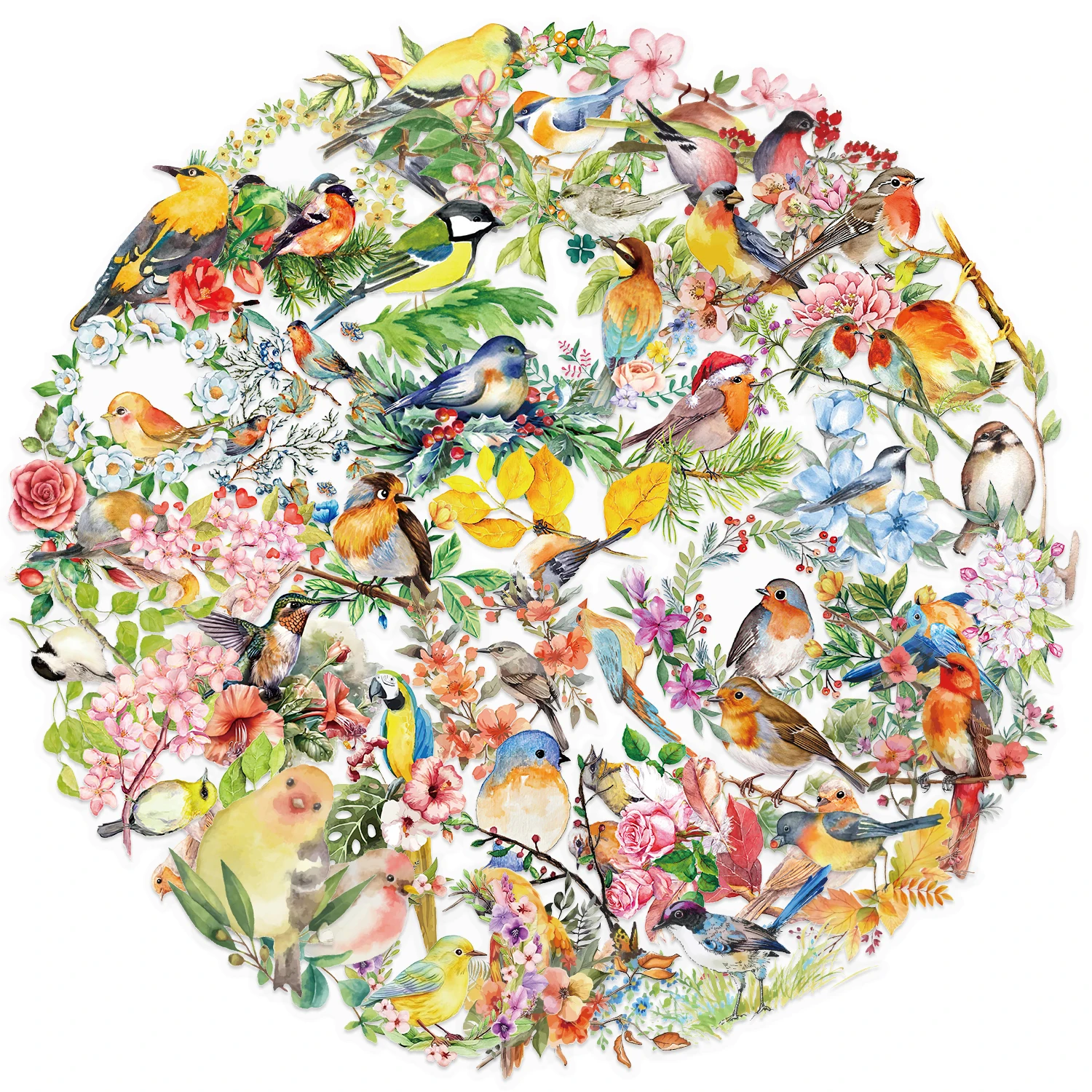 50 sztuk kolorowe akwarelowe naklejki z ptakami Vintage estetyczne przezroczyste naklejki PET dla majsterkowiczów idealne do dekoracji książek