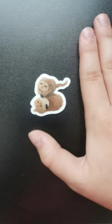 Customer review photo