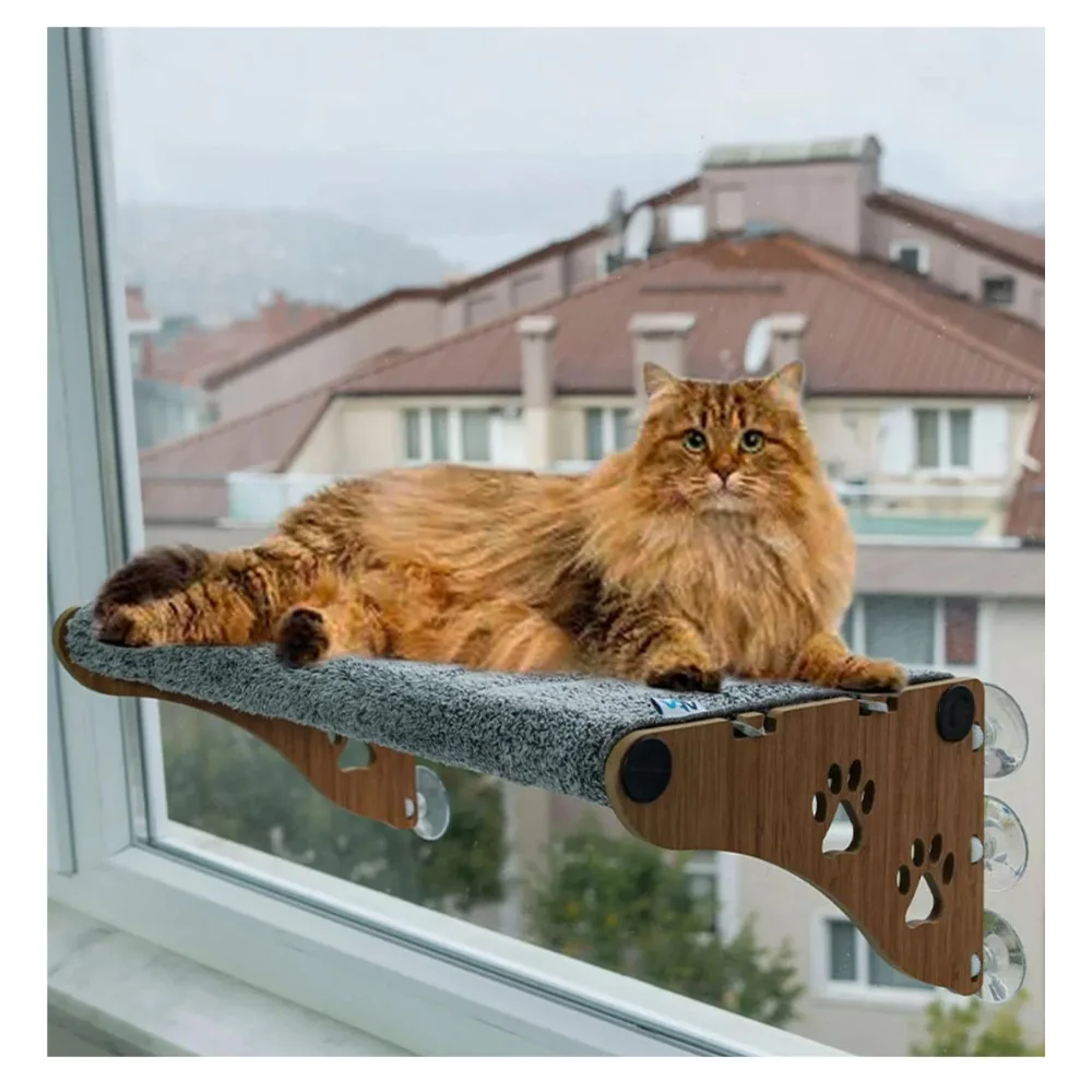 גודל גדול חדש יניקה כוס זכוכית מרפסת מיטת עץ חתול וכלב לחיות מחמד המלטת אסלת מזון צעצוע צווארון מיטת בית זכוכית מרפסת Stylis