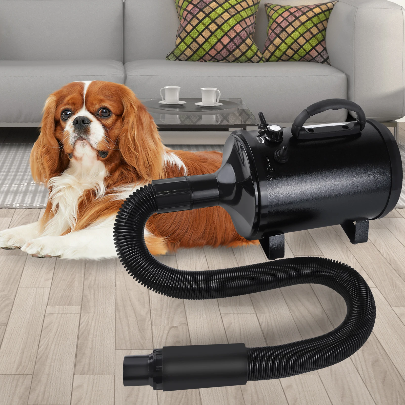 Sèche-cheveux pour animaux de compagnie 2800W, souffleur de toilettage pour chiens, séchage rapide à air chaud, avec 4 embouts et 2 vitesses 35 ° C à 65 ° Tuyau flexible C & 2,3 m