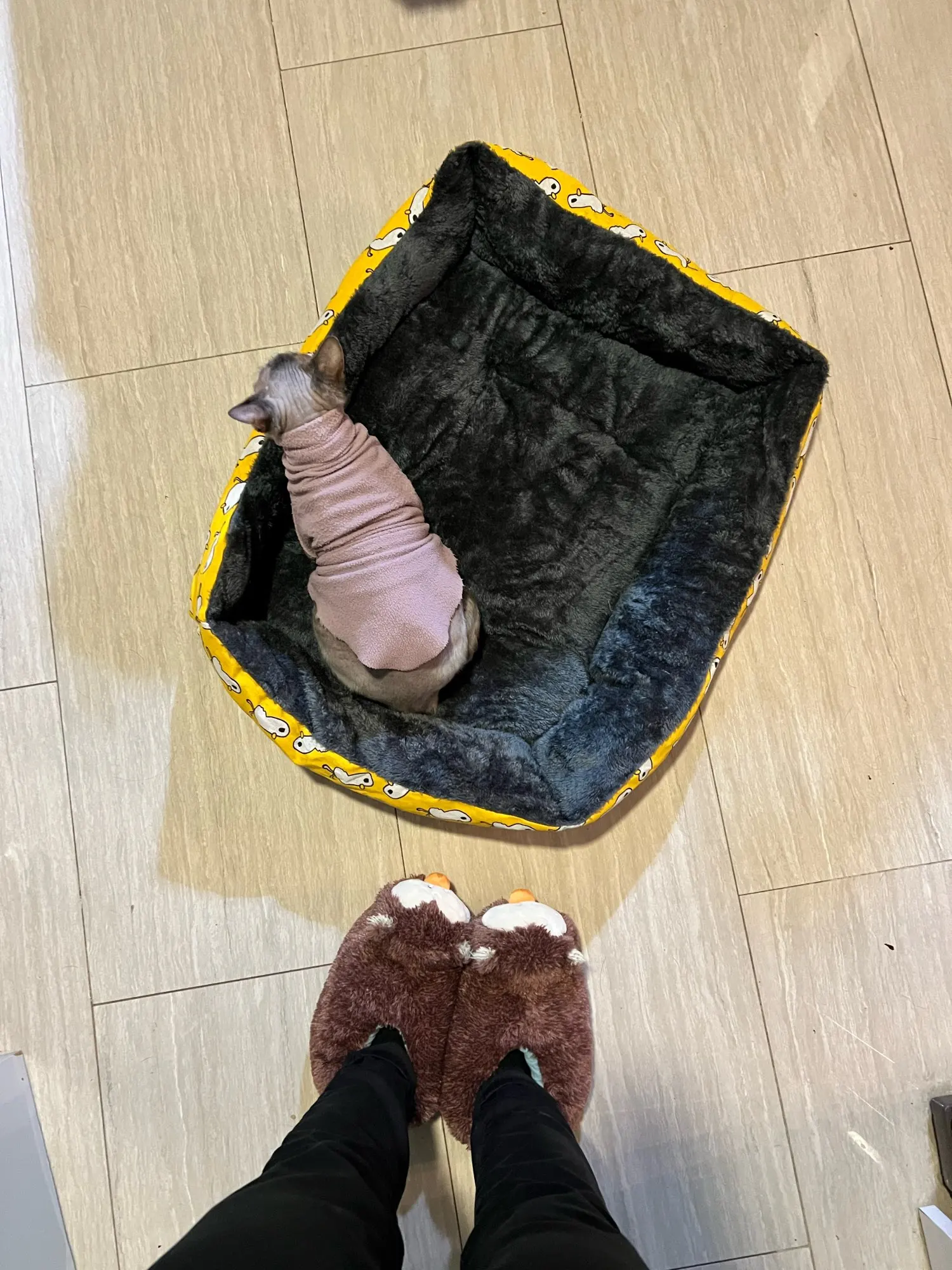 구매후기