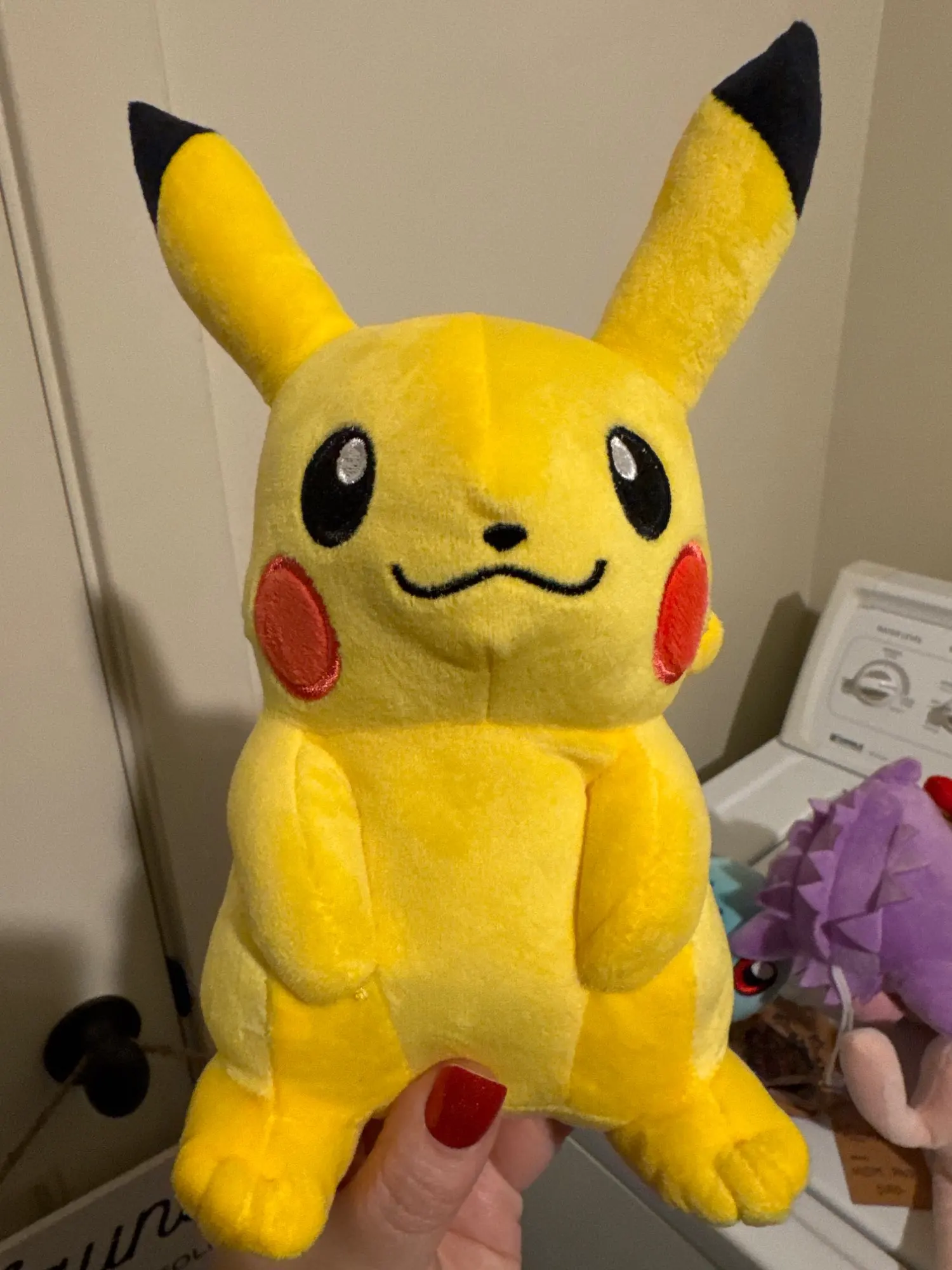 Customer review photo