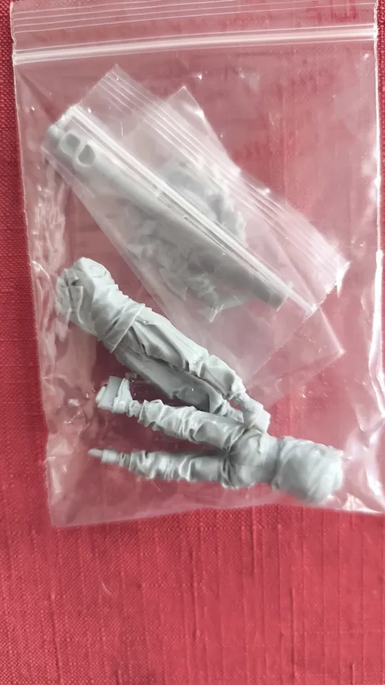 Buyer photo of this resin kit