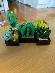 Imagen de reseña 1