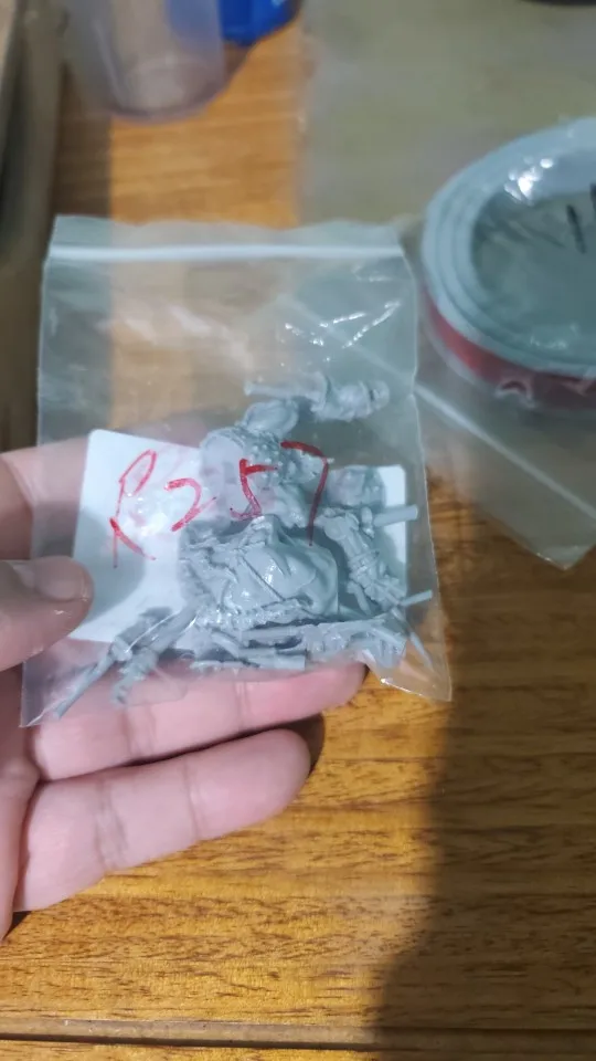 Buyer photo of this resin kit