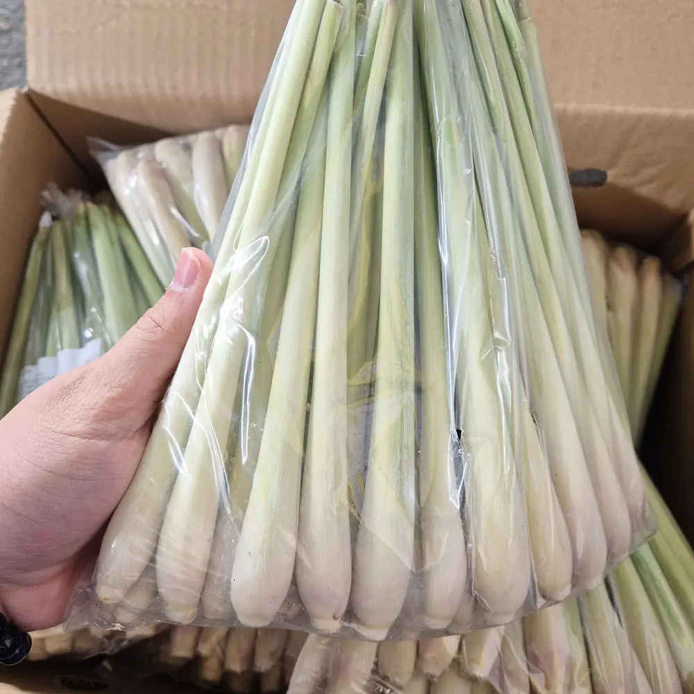 [6/4 sequentielle Lieferung] Vietnam Rohes Zitronengras 1 kg/3 kg/5 kg/10 kg