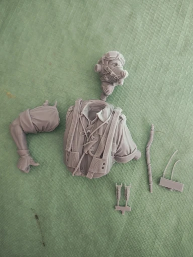 Buyer photo of this resin kit