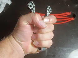 Imagen de reseña 3