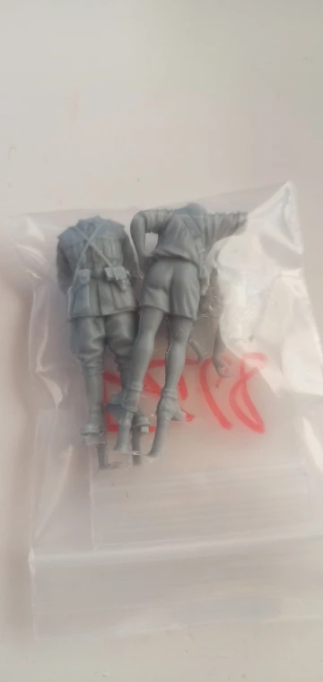 Buyer photo of this resin kit
