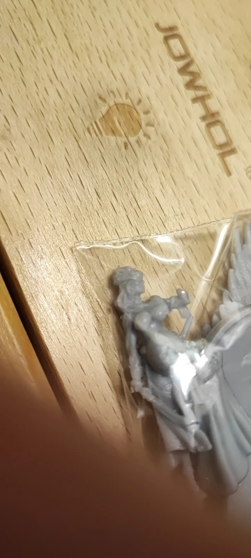 Buyer photo of this resin kit