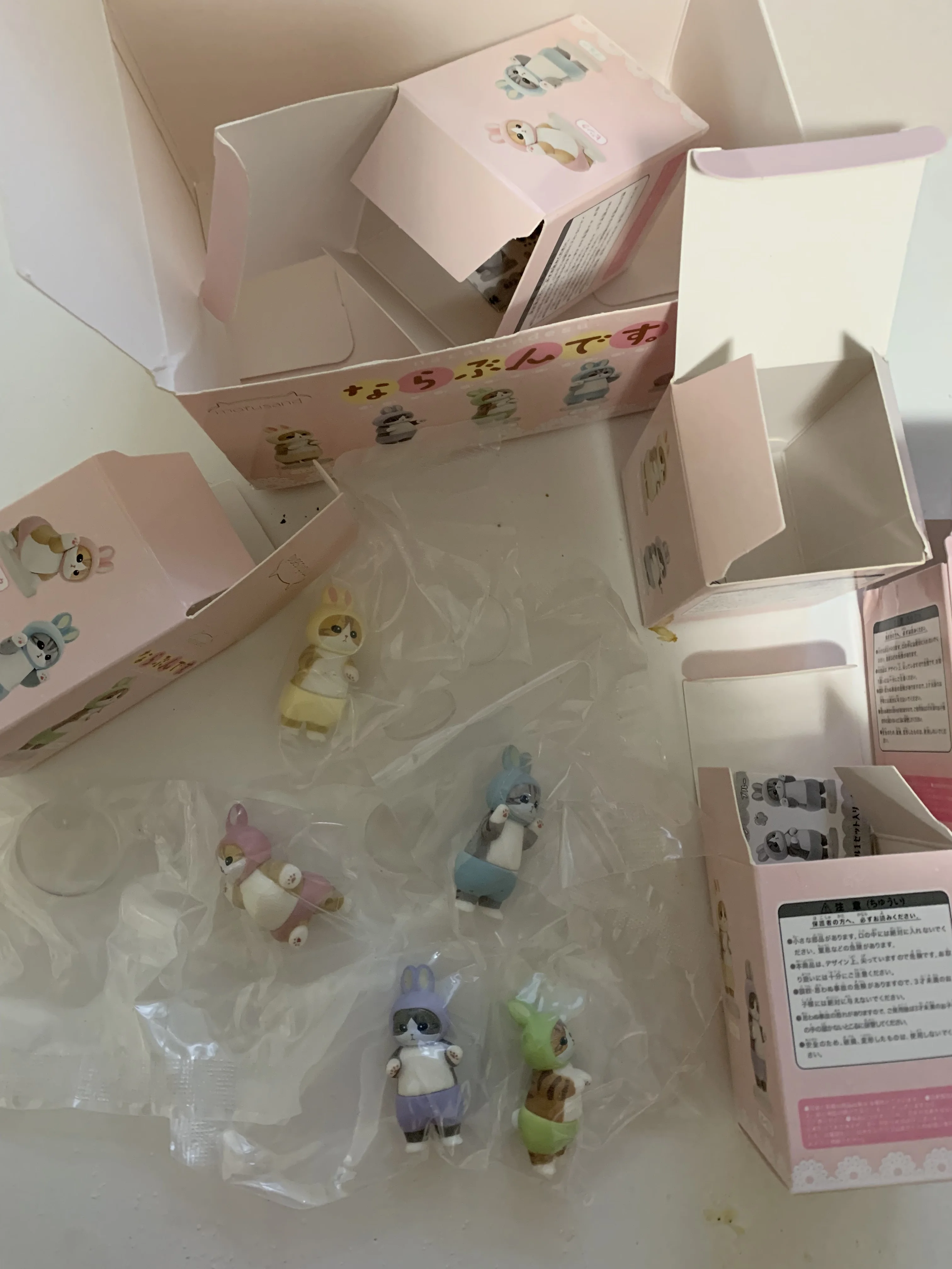 실물 포토 리뷰
