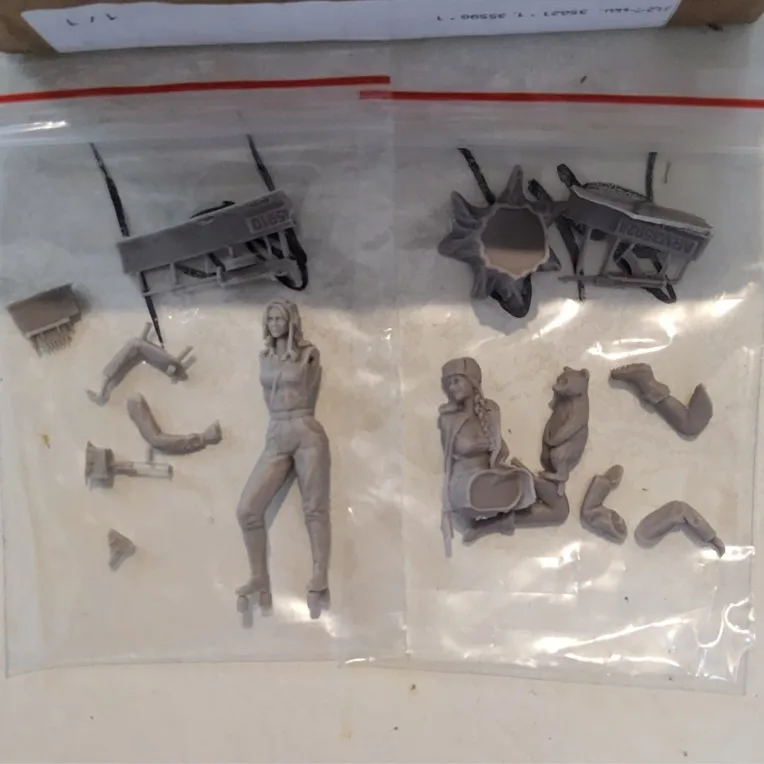 Buyer photo of this resin kit