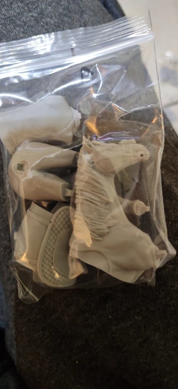Buyer photo of this resin kit