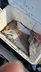 Imagen de reseña 5