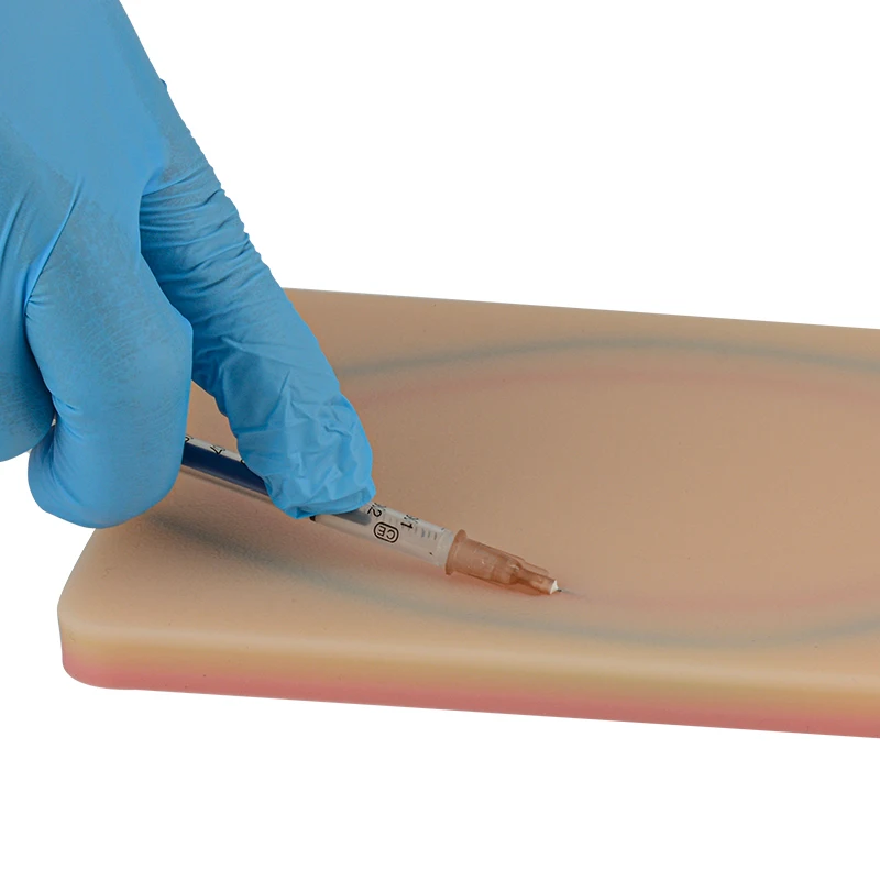 Mit 4 Adern Eingebettet und 3 Haut Schichten Venipuncture IV Injection Training Pad Modell