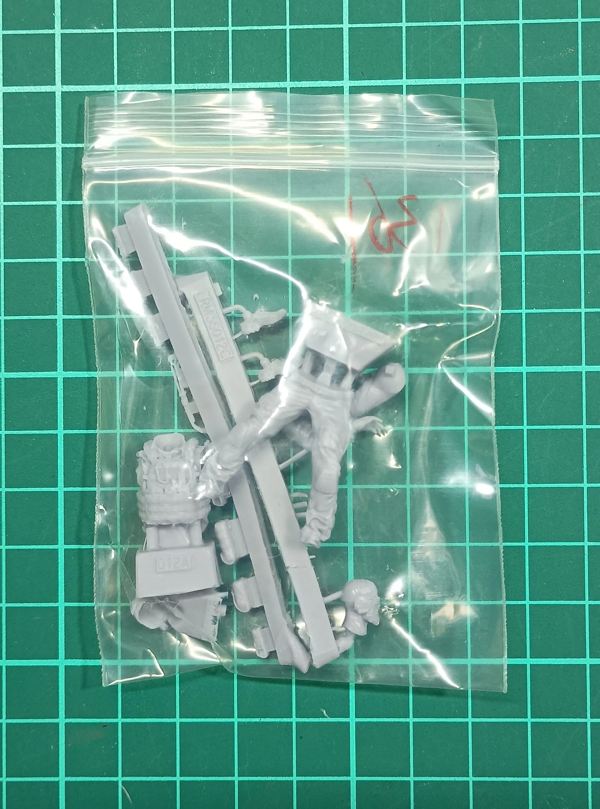 Buyer photo of this resin kit
