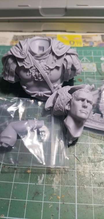 Buyer photo of this resin kit