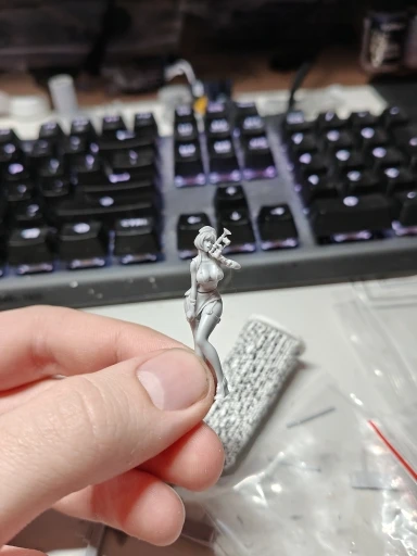 Buyer photo of this resin kit