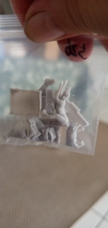Buyer photo of this resin kit