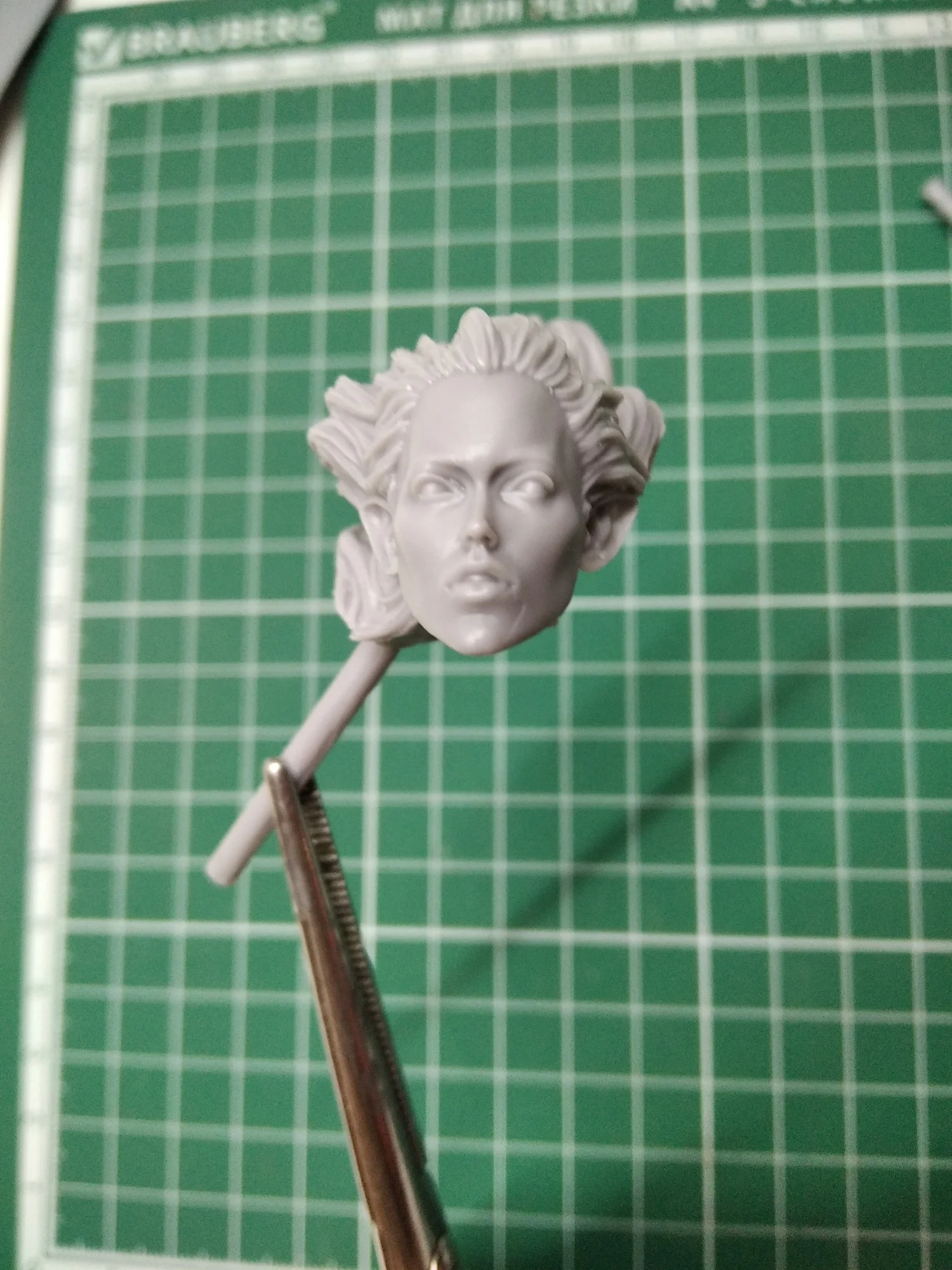 Buyer photo of this resin kit