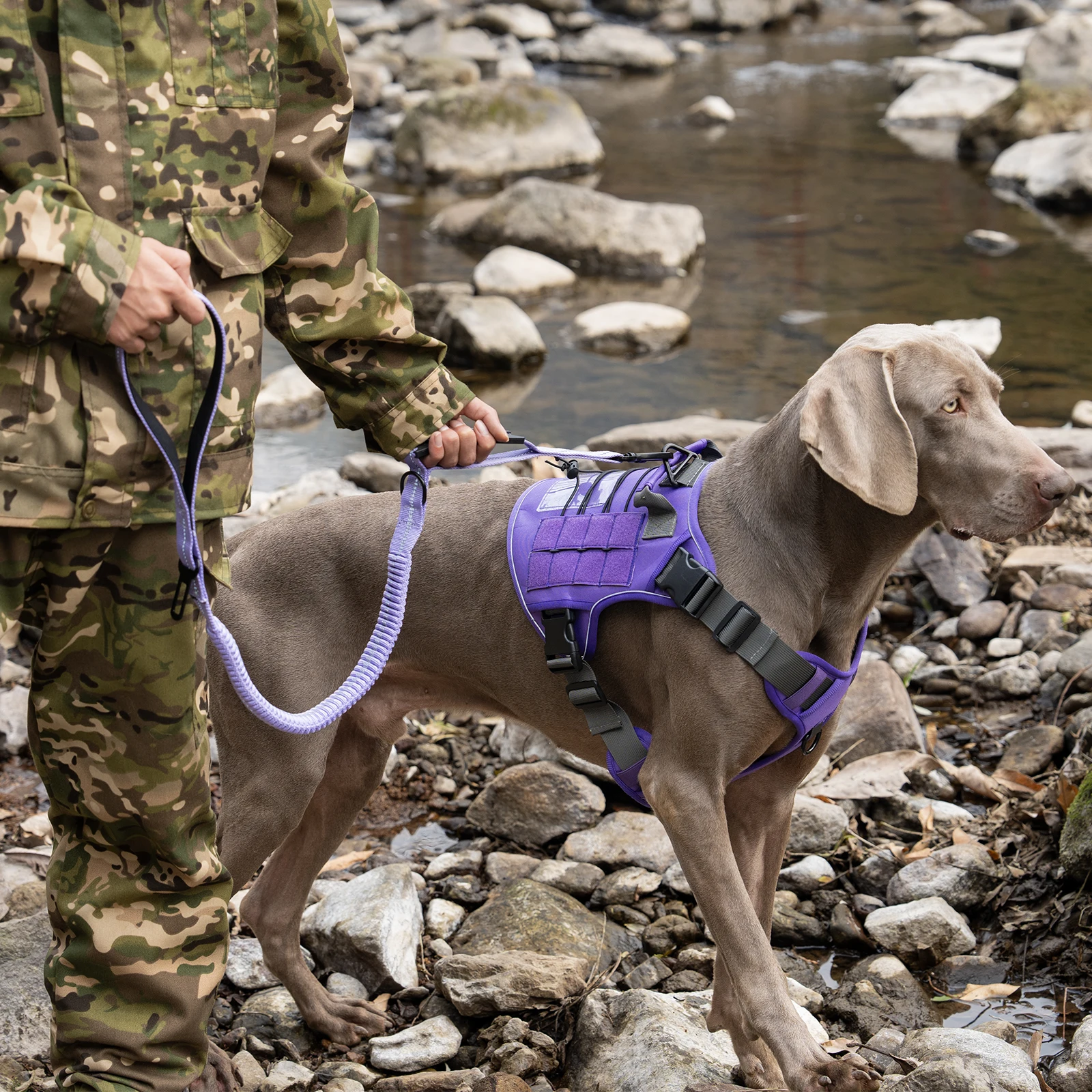 Taktische Hundeleine Robuste Reflektierende Starke Anti-Zug Bungee-Leine für Mittelgroße und Große Hunde mit Komfortablem Gepolstertem Doppelgriff – Detail 22
