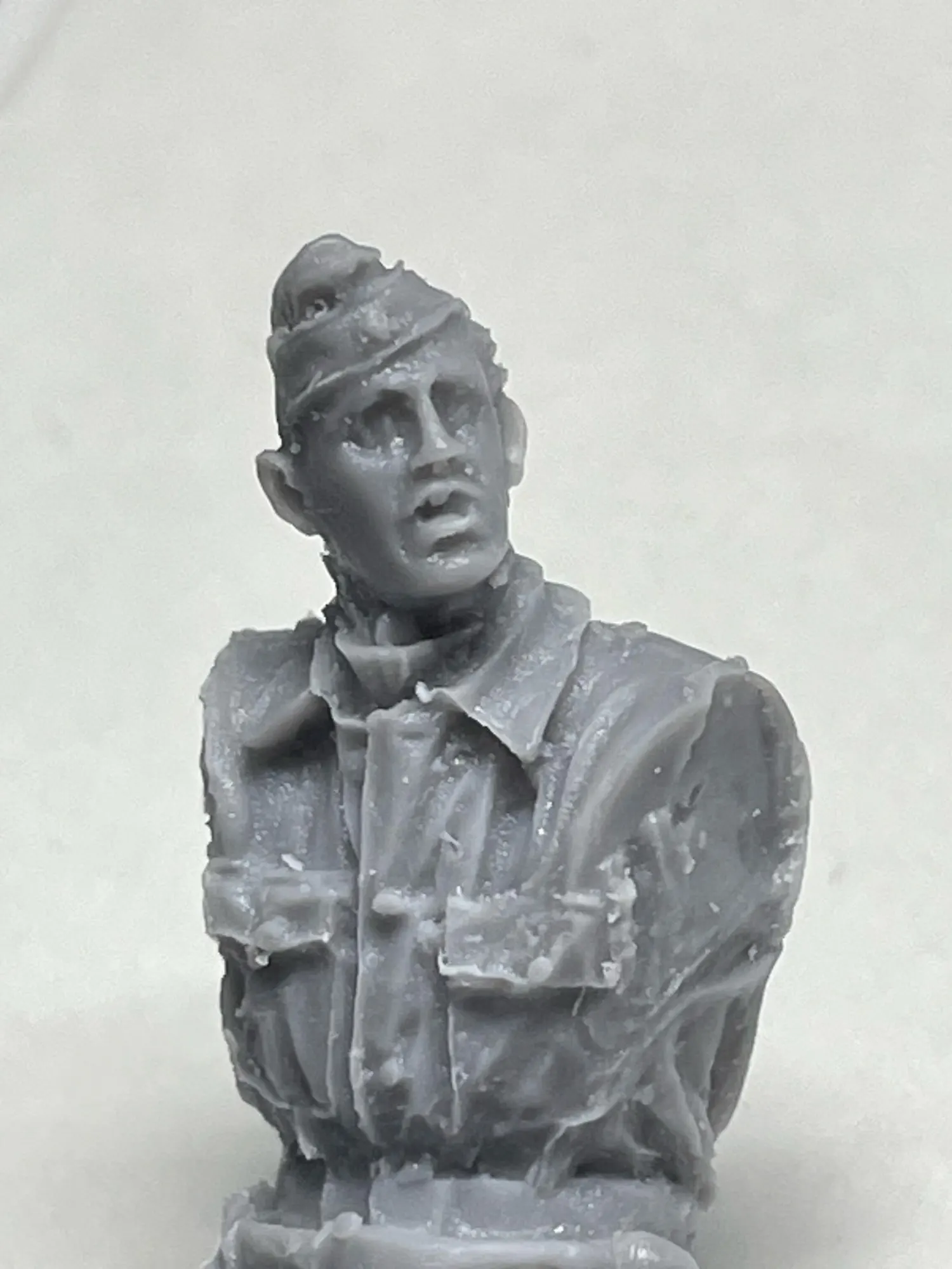 Buyer photo of this resin kit
