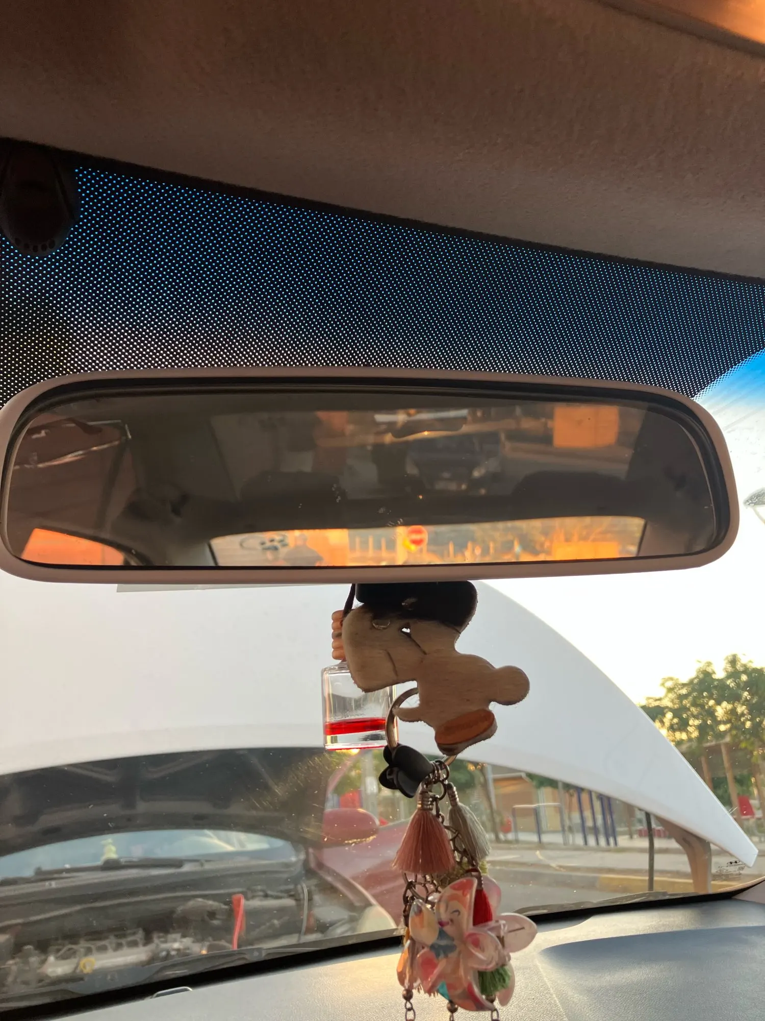 실물 포토 리뷰