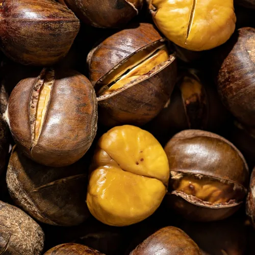 [푸디앤 ] 프리미엄 공주알밤 칼집밤 / 하북성 최고품질 약단밤 생율밤 칼집밤 