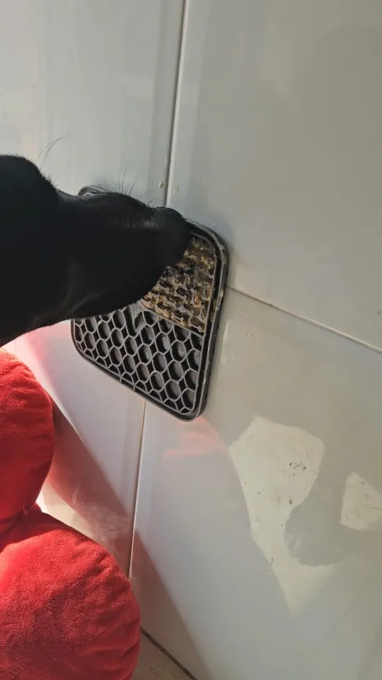 Customer review photo for Dog Lick Mat with Suction Cups