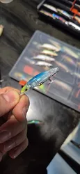 Imagen de reseña 4