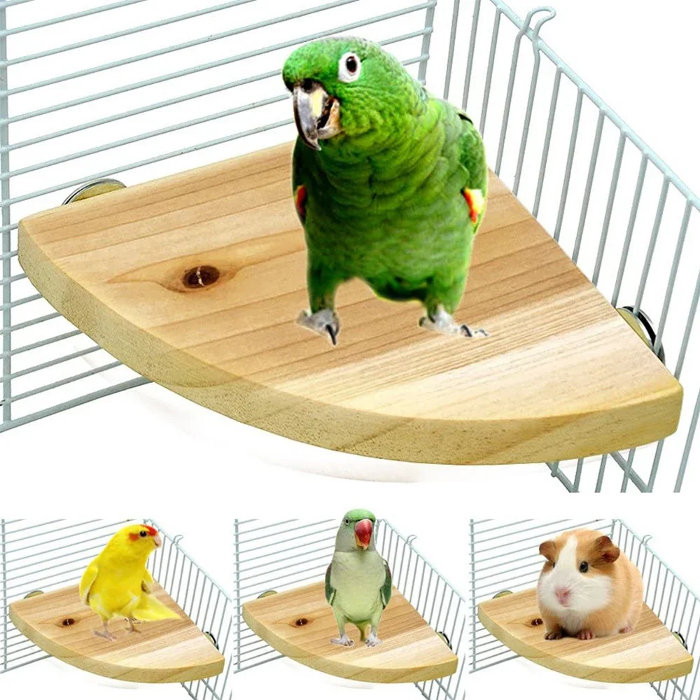 Waaiervormige Papegaai Houten Stand Rack Vogelkooi Accessoires Baars voor Kleine Dieren Chinchilla Eekhoorn Hamster Vogel Stand Board - afbeelding 2