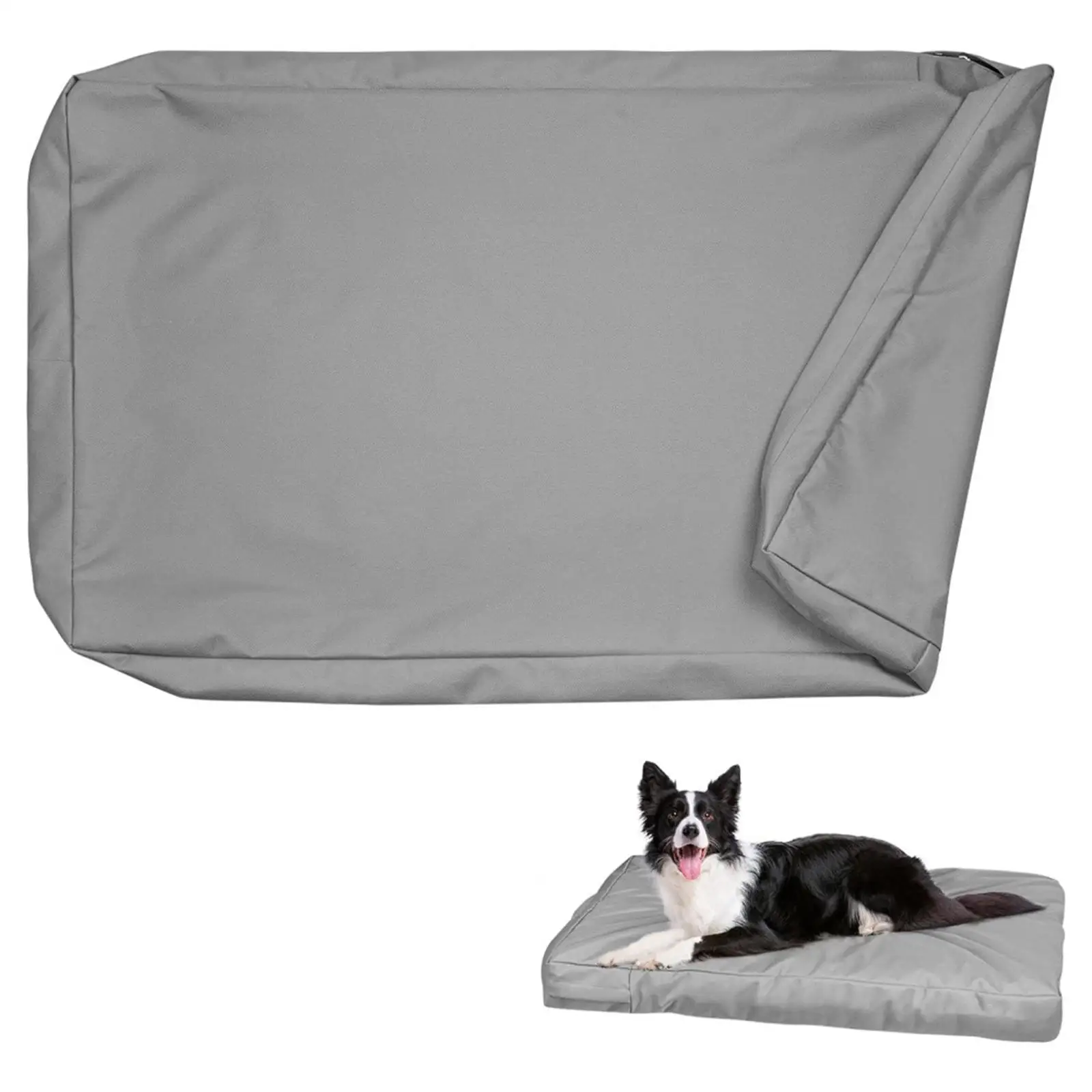 #36 Compare Pet Crates Before You Buy