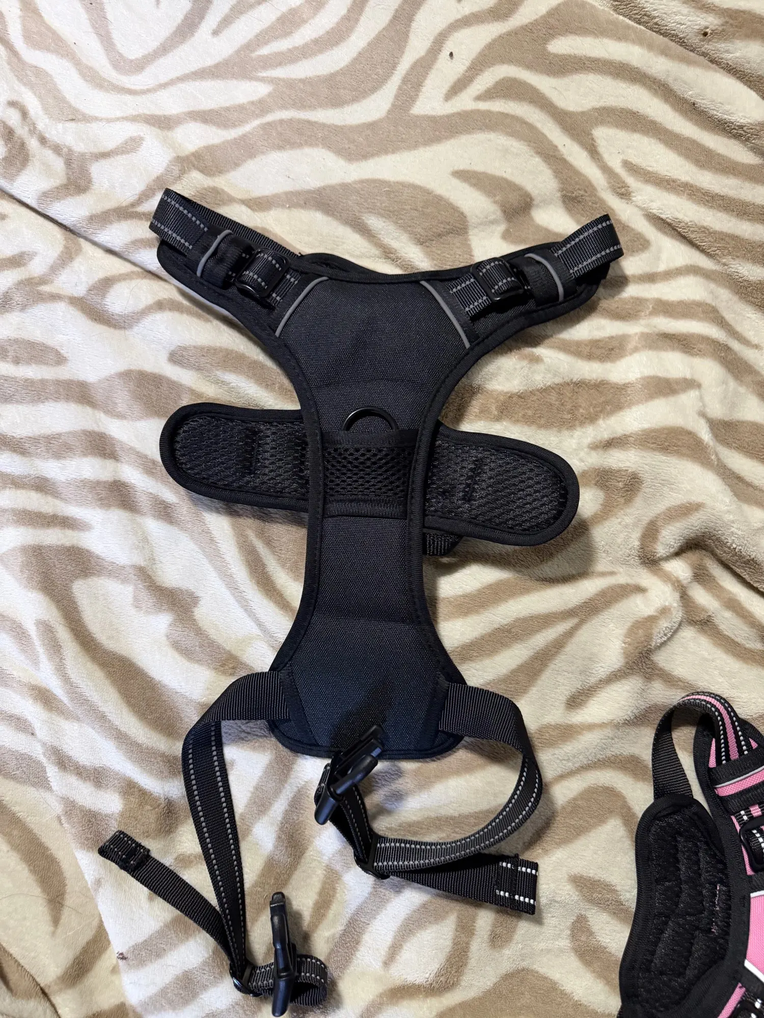 Review picture