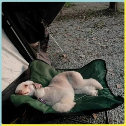 Outdoor Dog Hammock Pet Bed Chair Cushion Foldable Puppy Camping bed Chair Lunch Cat Bed Sofa Pet Accessories