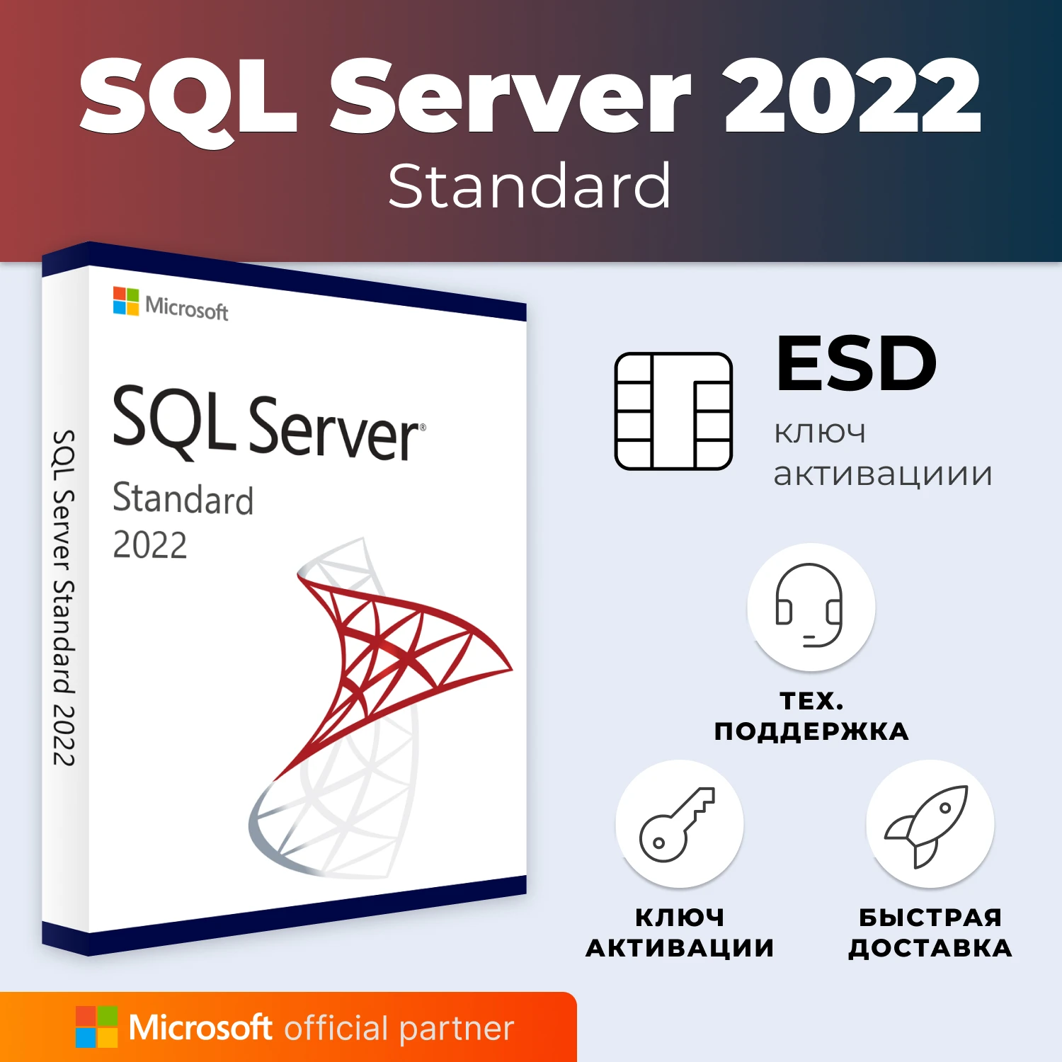 SQL Server 2022 Key – My Real Experience with the SQLer 2022 Standard Retail License