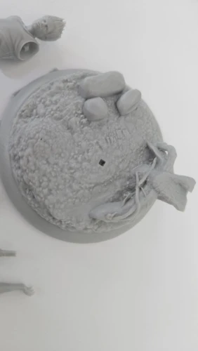 Buyer photo of this resin kit