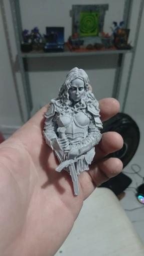 Buyer photo of this resin kit