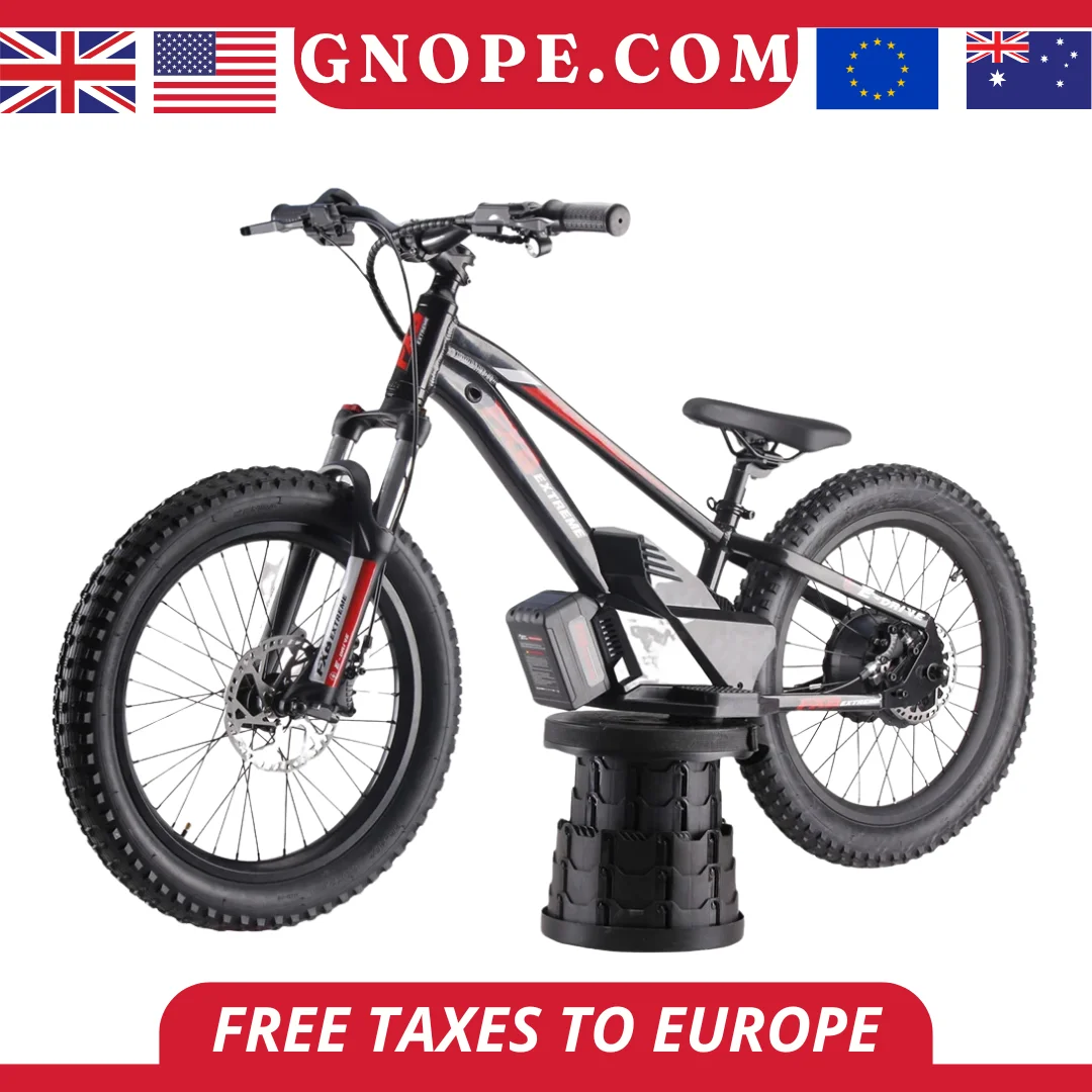 

2025 new model Electric Balance Bike with 20-Inch off road bikes Removable Battery bikes