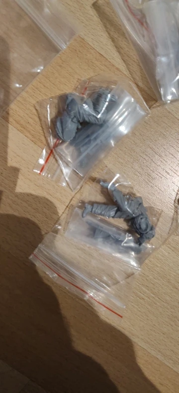 Buyer photo of this resin kit