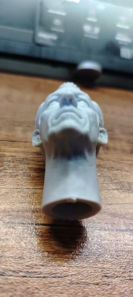 Buyer photo of this resin kit