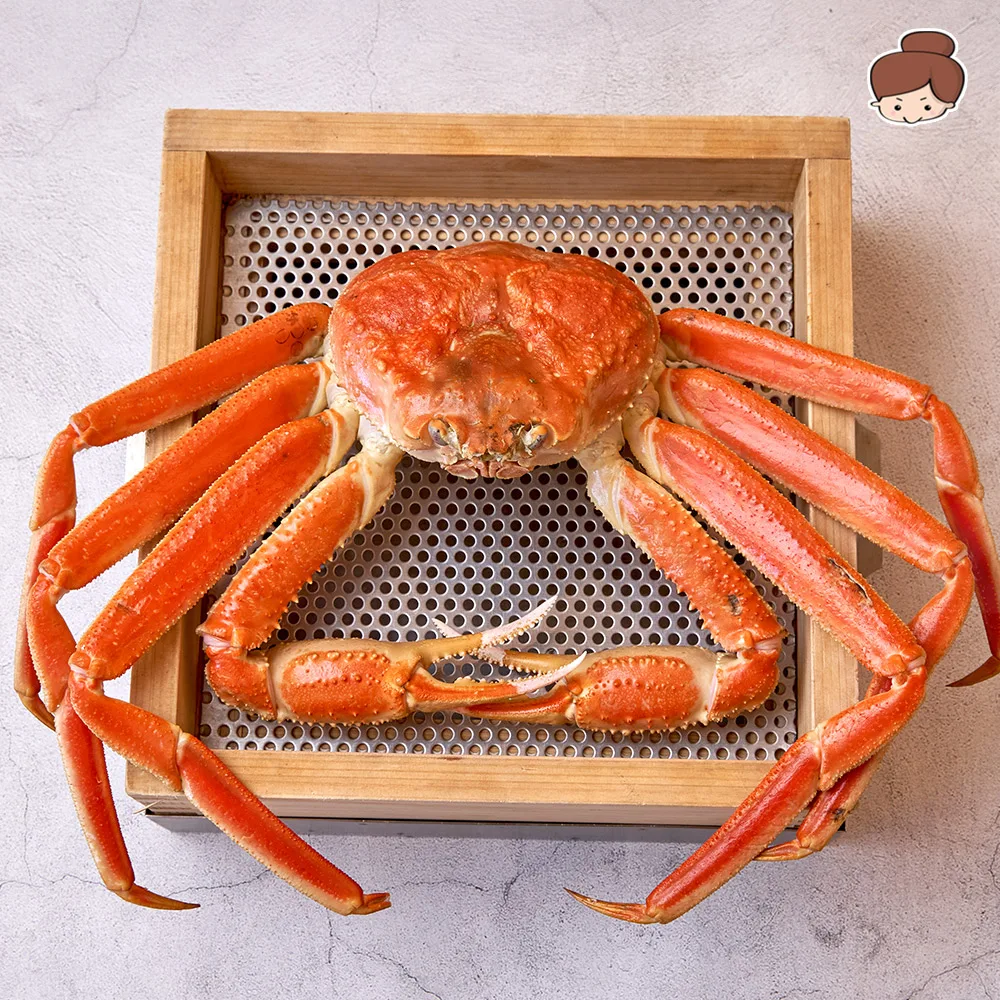 건어물녀 알뜰 활 선어 자숙 러시아 대게 3kg 매주 목-금요일 출고