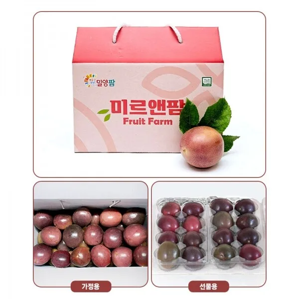 친환경 국내산 백향과 대과 2kg 국산 무농약 패션후르츠 생과