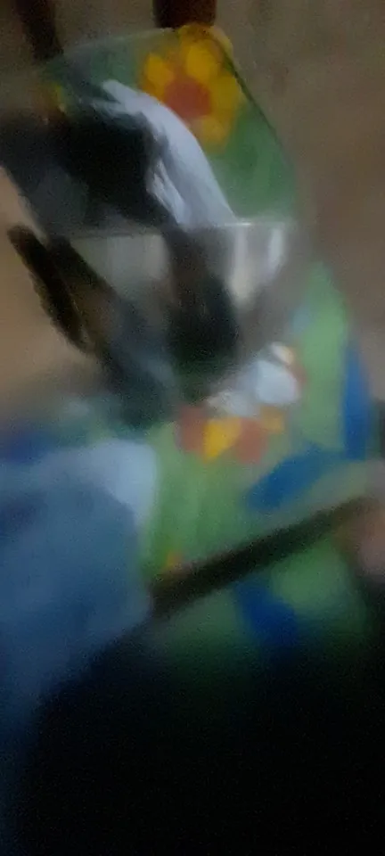 실물 포토 리뷰