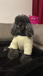 Imagen de reseña 1