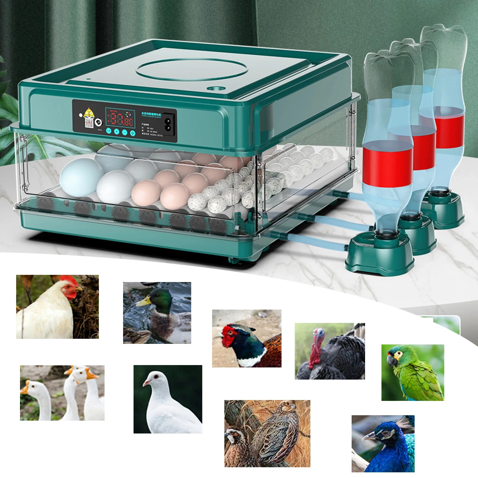 6/10/12 Eggs Incubator With Automatic Water Ionic Waterbed Replenishment And Temperature Control Farm Incubation Tools