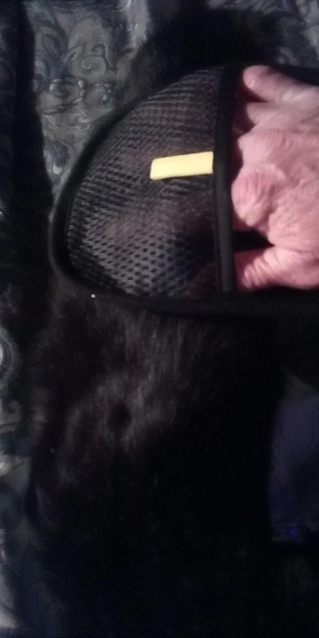 Customer review photo